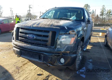 2010 Ford F-150 Stx/Xl/Xlt z USA, uszkodzony, nr VIN 1FTEX1E86AFD83821